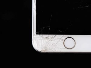 Blog 2