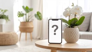 Find my iPhone